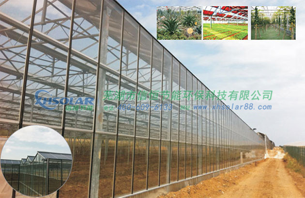 光伏農業大棚解決方案